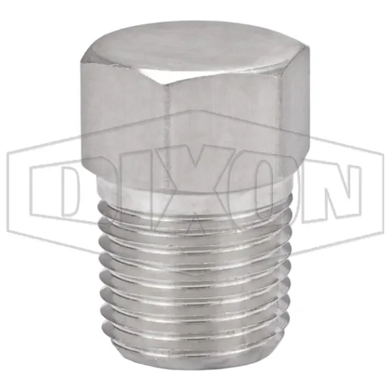 Hex Head Plug