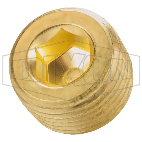 Hex Socket Plug