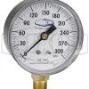 ABS Standard Dry Lower Mount Gauge