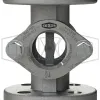 Flanged Sight Flow Indicator- Flapper Style Indicator